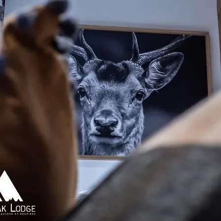 Atpeak Maison De Montagne D'exception Dağ evi Xonrupt-Longemer