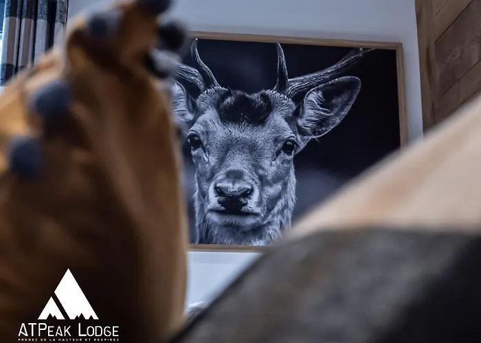 Atpeak Maison De Montagne D'exception Horská chata Xonrupt-Longemer